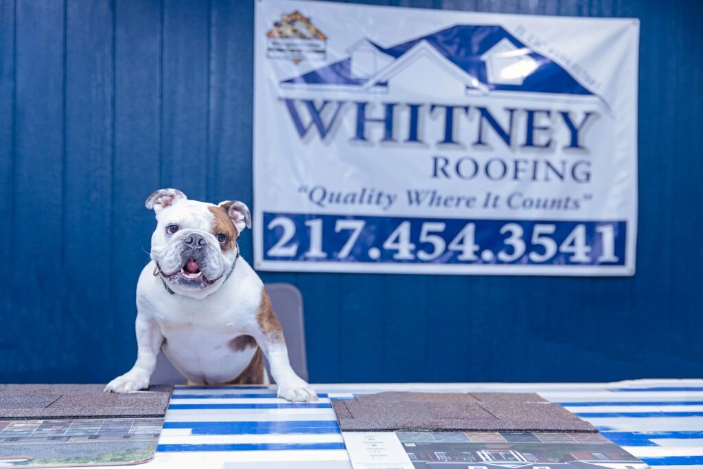 Whitney Roofing Roof Quote