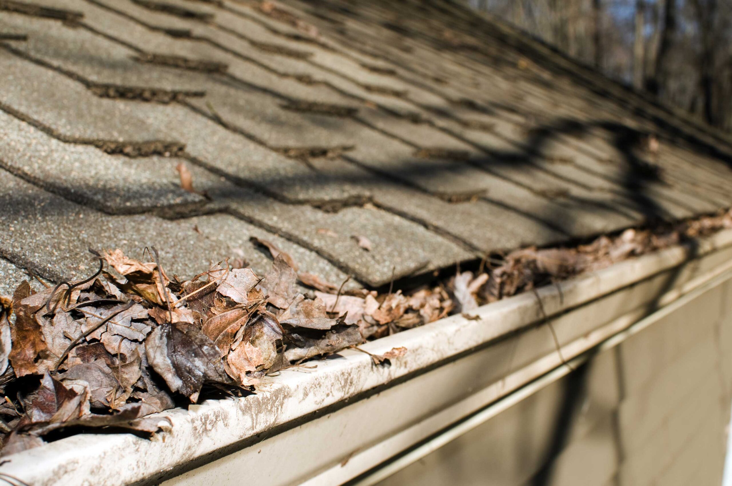 roof storm damage, emergency roof repair, storm damage repair