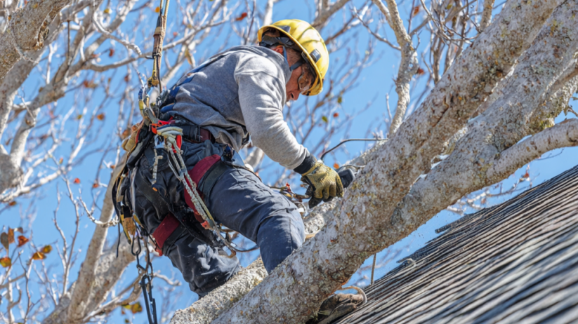 Roof Inspection in Central Illinois