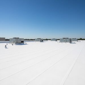 White TPO commercial flat roof membrane on an Effingham business building